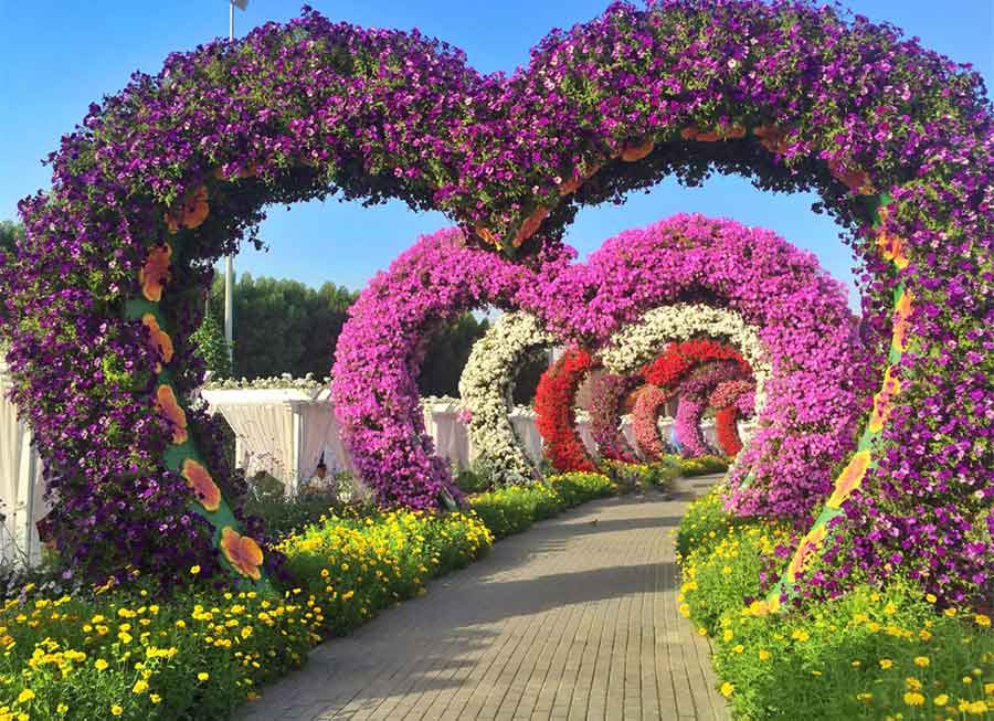 rezeem-blog-valentines-day-miracle-garden